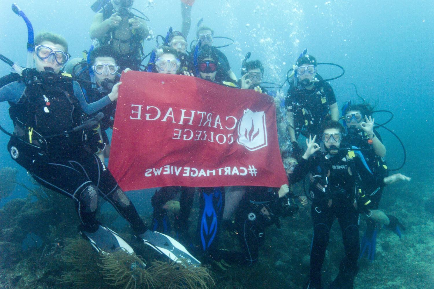 学生们手持<a href='http://uoze.ngskmc-eis.net'>博彩网址大全</a>旗帜，在j学期洪都拉斯游学之旅中潜水.